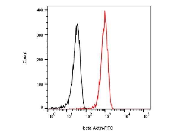 aladdin 阿拉丁 Ab155822 beta Actin Mouse mAb mAb (2D10); Mouse anti Human beta actin Antibody; WB, Flow, ICC/IF, ELISA; Unconjugated