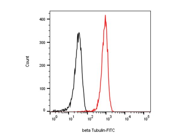 aladdin 阿拉丁 Ab155823 beta Tubulin Mouse mAb mAb (2F1); Mouse anti Human beta tubulin Antibody; WB, Flow, ICC / IF, ELISA; Unconjugated