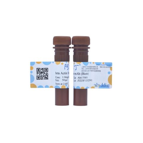 aladdin 阿拉丁 Ab175850 beta Actin Mouse mAb (Biotin) mAb ( FG01/2D10); Mouse anti Human beta actin Antibody; WB, IF, Flow; Biotin