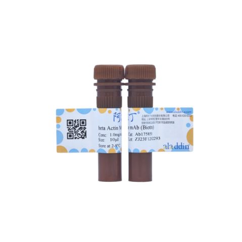 aladdin 阿拉丁 Ab175850 beta Actin Mouse mAb (Biotin) mAb ( FG01/2D10); Mouse anti Human beta actin Antibody; WB, IF, Flow; Biotin