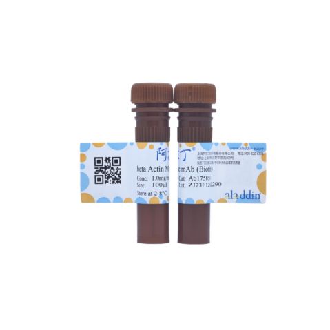 aladdin 阿拉丁 Ab175850 beta Actin Mouse mAb (Biotin) mAb ( FG01/2D10); Mouse anti Human beta actin Antibody; WB, IF, Flow; Biotin