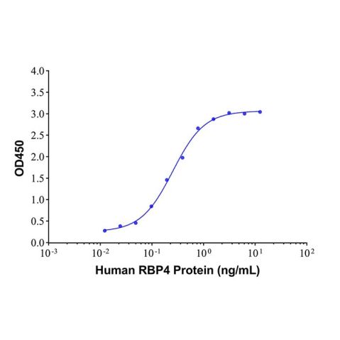 aladdin 阿拉丁 Ab176165 RBP4 Mouse mAb mAb(9D11-8); Mouse anti Human RBP4 Antibody; Capture Antibody, ELISA, CLIA, LF, GICA, FIA; Unconjugated
