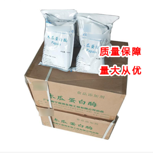 木瓜蛋白酶 9001-73-4