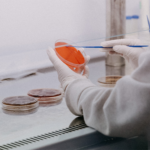 LILRB3重组蛋白-ACROBiosystems百普赛斯