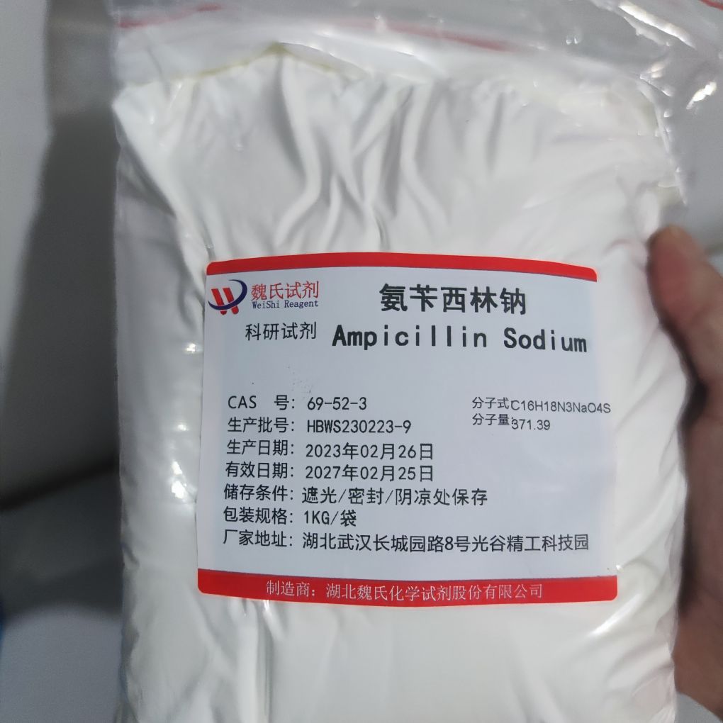 氨苄西林钠/69-52-3