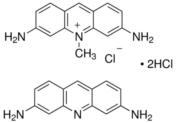 aladdin 阿拉丁 A113289 盐酸吖啶黄 8063-24-9 Biological stain