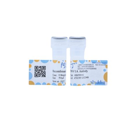 aladdin 阿拉丁 Ab090162 Recombinant ATP6V1A Antibody Validated, 0.8 mg/mL