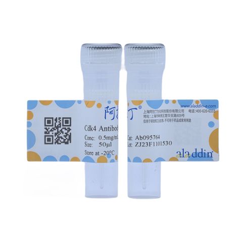 aladdin 阿拉丁 Ab095764 Cdk4 Antibody pAb; Rabbit anti Human Cdk4 Antibody; WB, IHC; Unconjugated