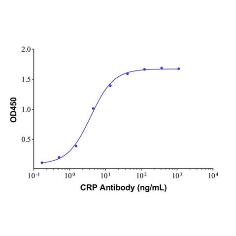 aladdin 阿拉丁 np008458 Native Human C-Reactive Protein Native, ≥95% (SDS-PAGE)