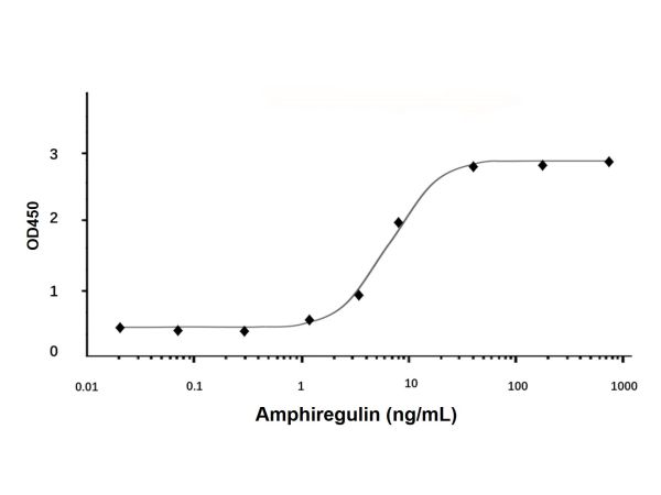 aladdin 阿拉丁 rp142789 Recombinant Human Amphiregulin Protein Animal Free, >95% (SDS-PAGE&HPLC), Active, E. coli, No tag, 101-198 aa