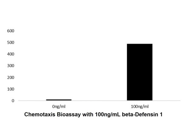 aladdin 阿拉丁 rp143234 Recombinant Human beta-Defensin 1 Protein Animal Free, >98%(SDS-PAGE, HPLC), Active, E.coli, No tag, 22-68 aa