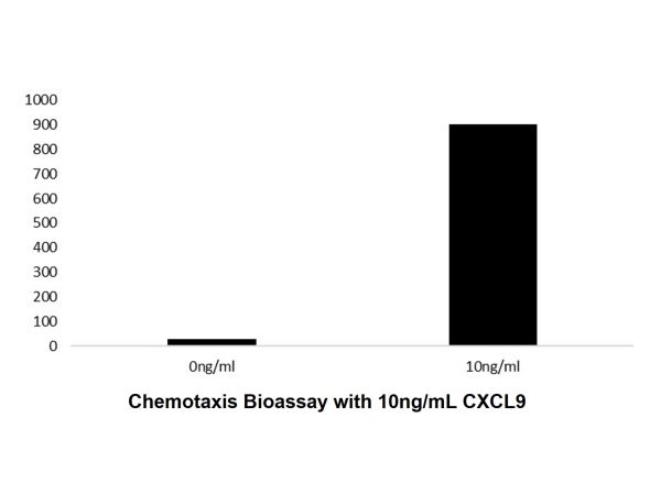 aladdin 阿拉丁 rp144872 Recombinant Human CXCL9 Protein Carrier Free, >97% (SDS-PAGE), Active, E.coli, No tag, 23-125 aa