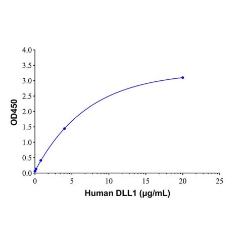 aladdin 阿拉丁 rp145162 Recombinant Human DLL1 Protein Animal Free, >95% (SDS-PAGE), Active, HEK293, C-His tag, 22-540 aa