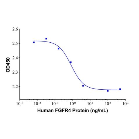 aladdin 阿拉丁 rp146021 Recombinant Human FGFR4 protein Animal Free , >95%(SDS-PAGE), Active, 293F, Fc&His tag, 22-376 aa