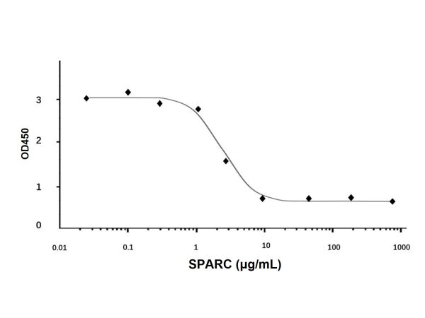 aladdin 阿拉丁 rp151779 Recombinant Human SPARC Protein Animal Free, >98% (SDS-PAGE, HPLC), Active, E.coli, No tag, 18-303 aa