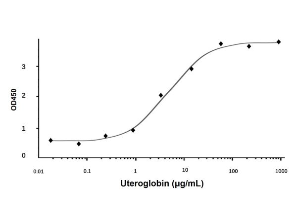 aladdin 阿拉丁 rp153061 Recombinant Human Uteroglobin Protein Animal Free, >98%(SDS-PAGE and HPLC), Active, E.coli, No tag, 22-91 aa