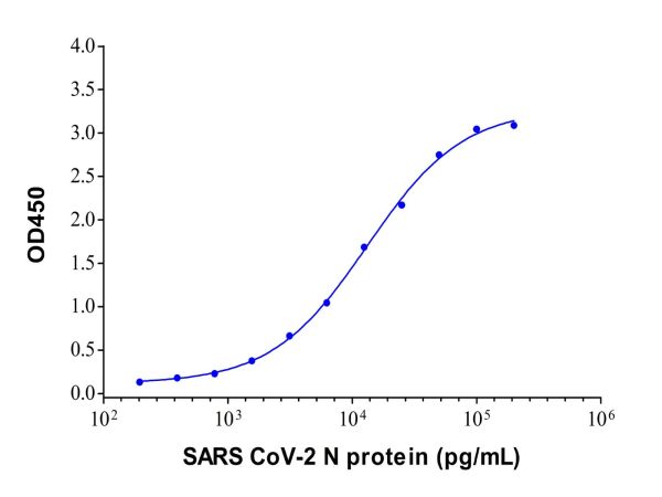 aladdin 阿拉丁 Ab176691 SARS CoV-2 N protein Mouse mAb mAb (C05/5B7); Mouse anti SARS CoV-2 N protein Antibody; Detection antibody, ELISA; Unconjugated
