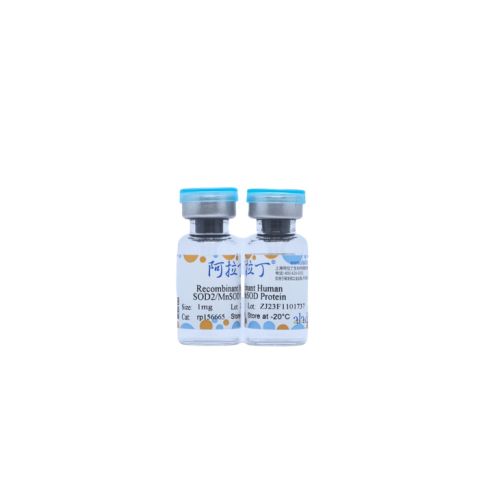 aladdin 阿拉丁 rp156665 Recombinant Human SOD2/MnSOD Protein Carrier Free, >90% (SDS-PAGE), E.coli, N-His tag, 25-222 aa