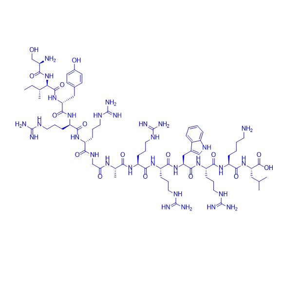 蛋白激酶抑制剂多肽SIYRRGARRWRKL/799764-07-1/PKCζ/ι pseudosubstrate inhibitor
