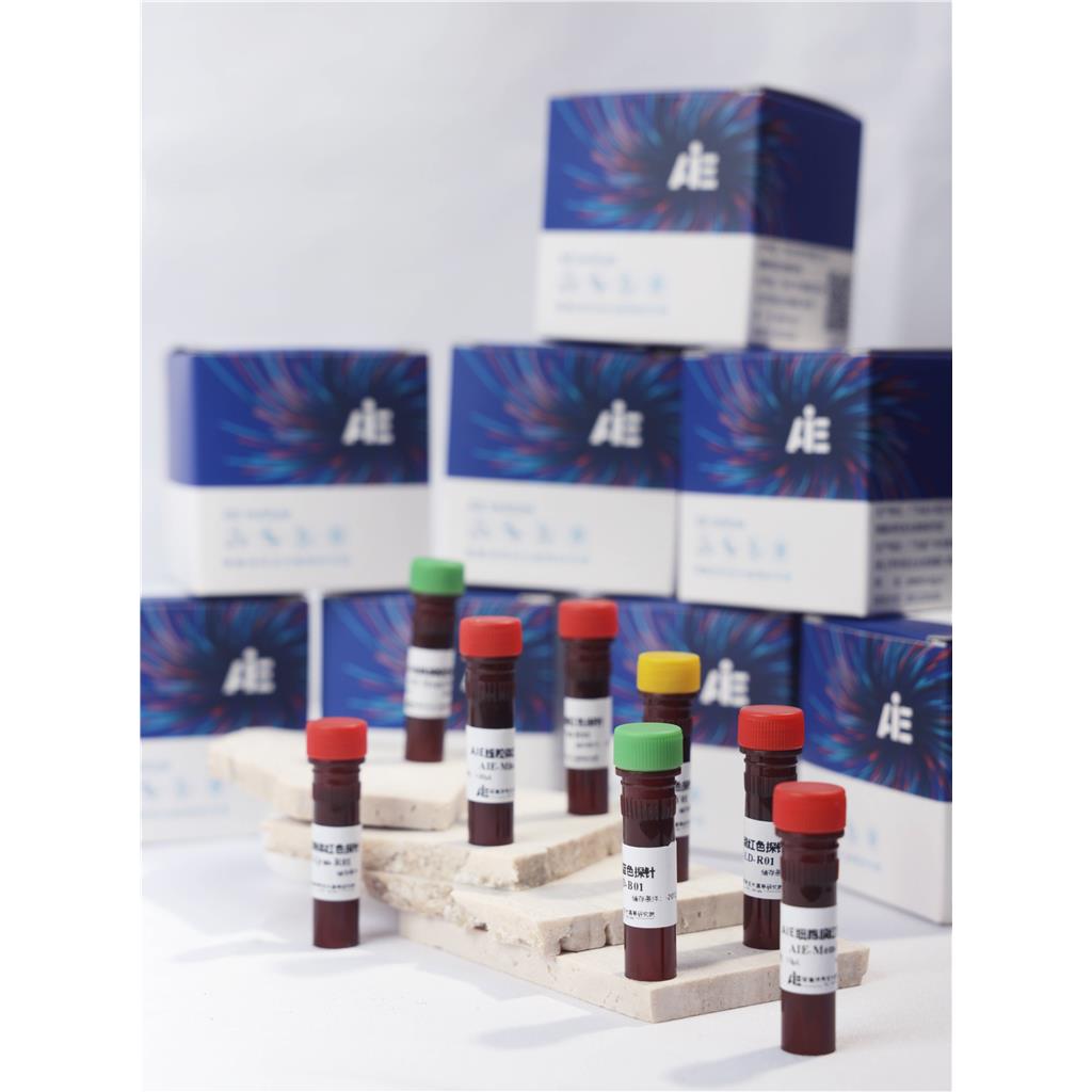 AIE细胞膜红色探针/固定细胞染色/活细胞染色/聚集诱导发光特性/多次成像探针