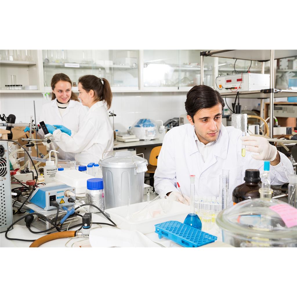 构建小鼠疾病模型