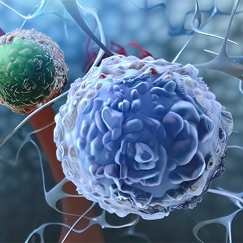 PTH1R蛋白-ACROBiosystems百普赛斯