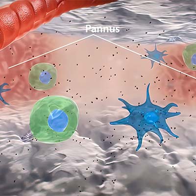 白介素IL-17RB蛋白-ACROBiosystems百普赛斯