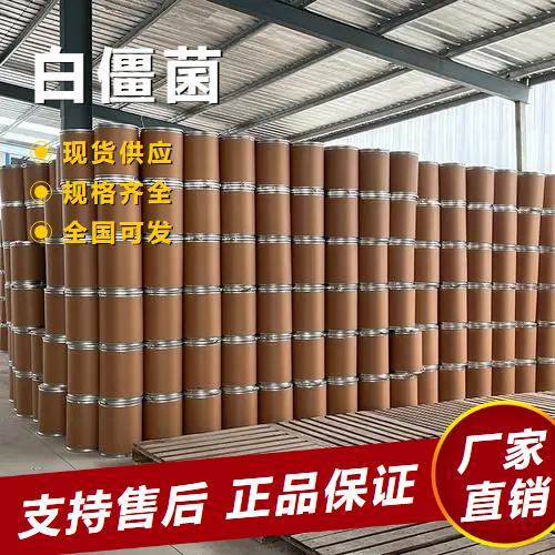  稳定 白僵菌 虫生真菌类白色粉末 26048-05-5 