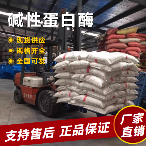  蛋白酶 去污活性剂洗涤剂 