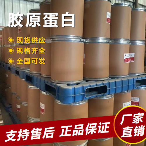   胶原蛋白 化妆品添加剂营养补充剂 9064-67-9 