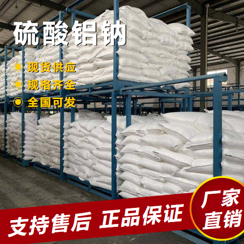  金牌商家 硫酸铝钠 无机盐产品水处理絮凝剂 10102-71-3 