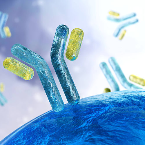 TLR3蛋白-ACROBiosystems百普赛斯