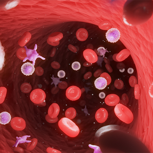 MIS RII蛋白-ACROBiosystems百普赛斯