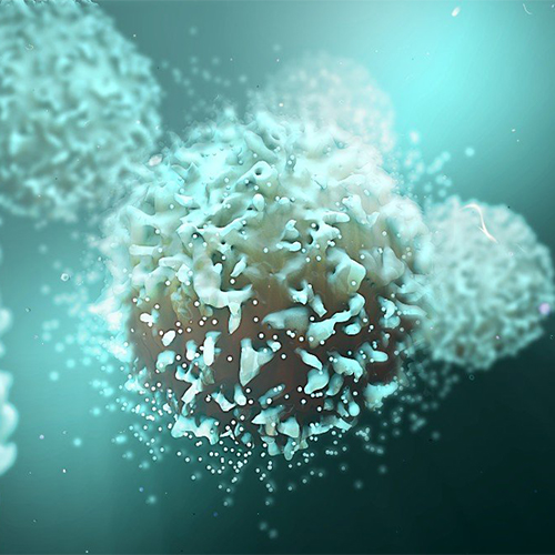 LYPD3蛋白-ACROBiosystems百普赛斯