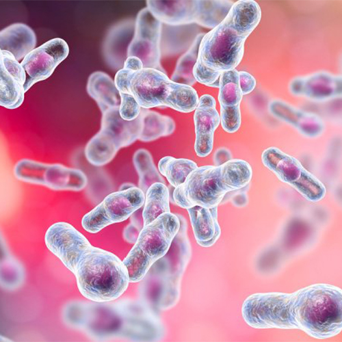 IL-37/IL1F7蛋白-ACROBiosystems百普赛斯