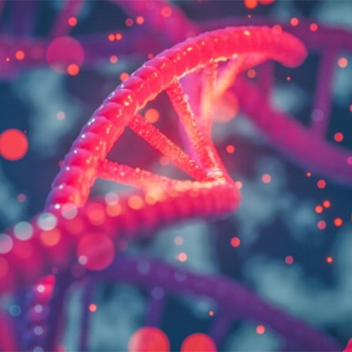 神经氨酸苷酶Neuraminidase (NA)-ACROBiosystems百普赛斯
