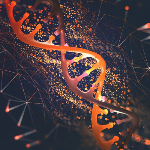 IL-9R/CD129蛋白-ACROBiosystems百普赛斯