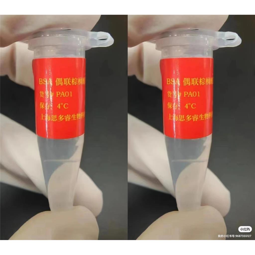 BSA偶联棕榈酸钠溶液（20 mmol/L）