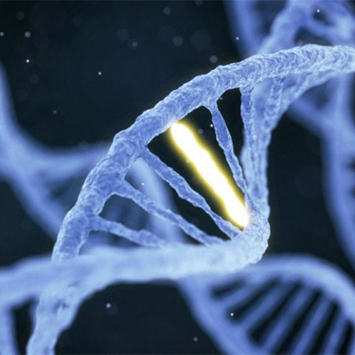 HBEGF蛋白-ACROBiosystems百普赛斯