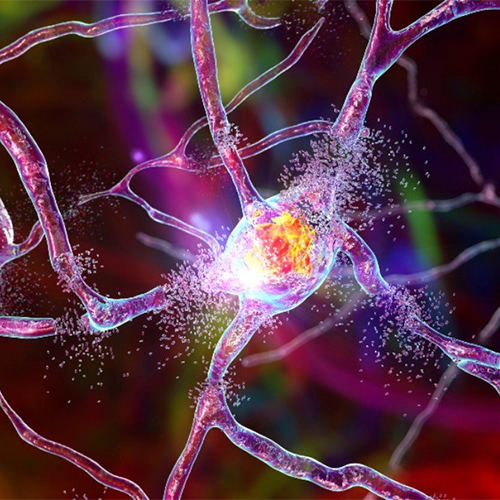 IL-34蛋白-ACROBiosystems百普赛斯