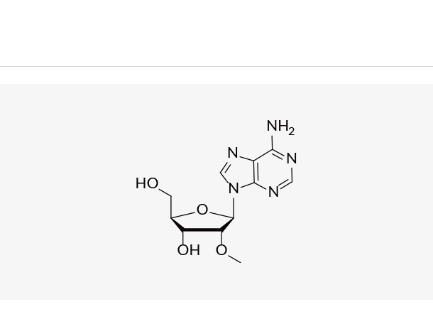 2'-OMe-adenosine