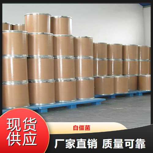   白僵菌  虫生真菌类白色粉末 26048-05-5