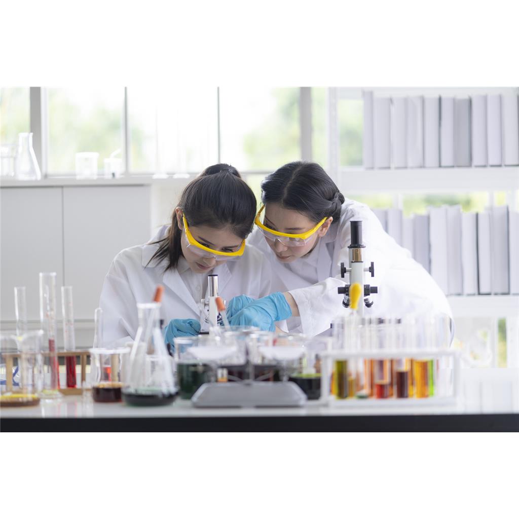 药代动力学试验