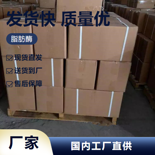   脂肪酶 9001-62-1 饲料加工皮革纺织加工 