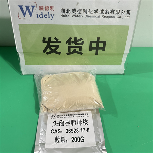 头孢唑肟母核（7-ANCA）