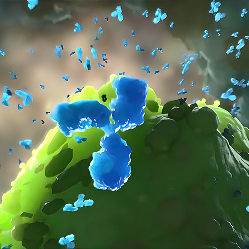 REG4蛋白-ACROBiosystems百普赛斯