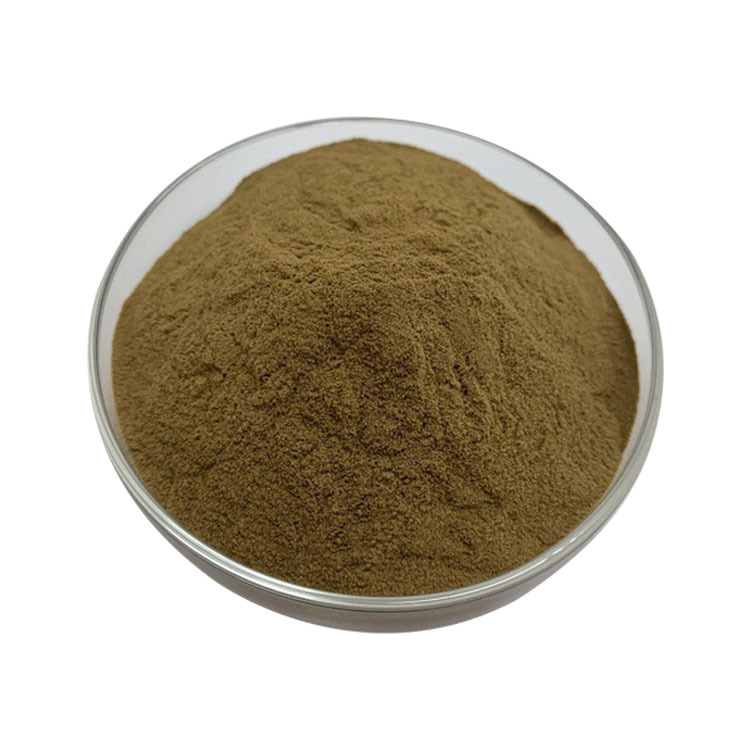 提桑黄提取物30:1