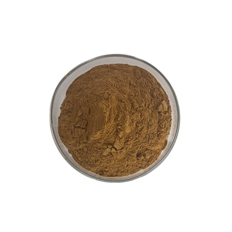 银杏叶提取物10:1