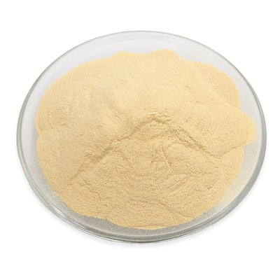 酵母浸粉 微生物发酵培养食品饲料添加