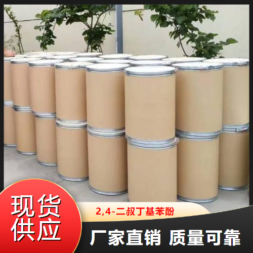 源头企业  2,4-二叔丁基苯酚  中间体合成抗氧剂 96-76-4